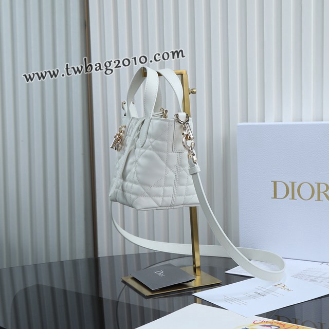 Dior专柜2025新款原厂皮手提包迪奥高仿原单白色迷你toujours竖版手袋 djfk1839